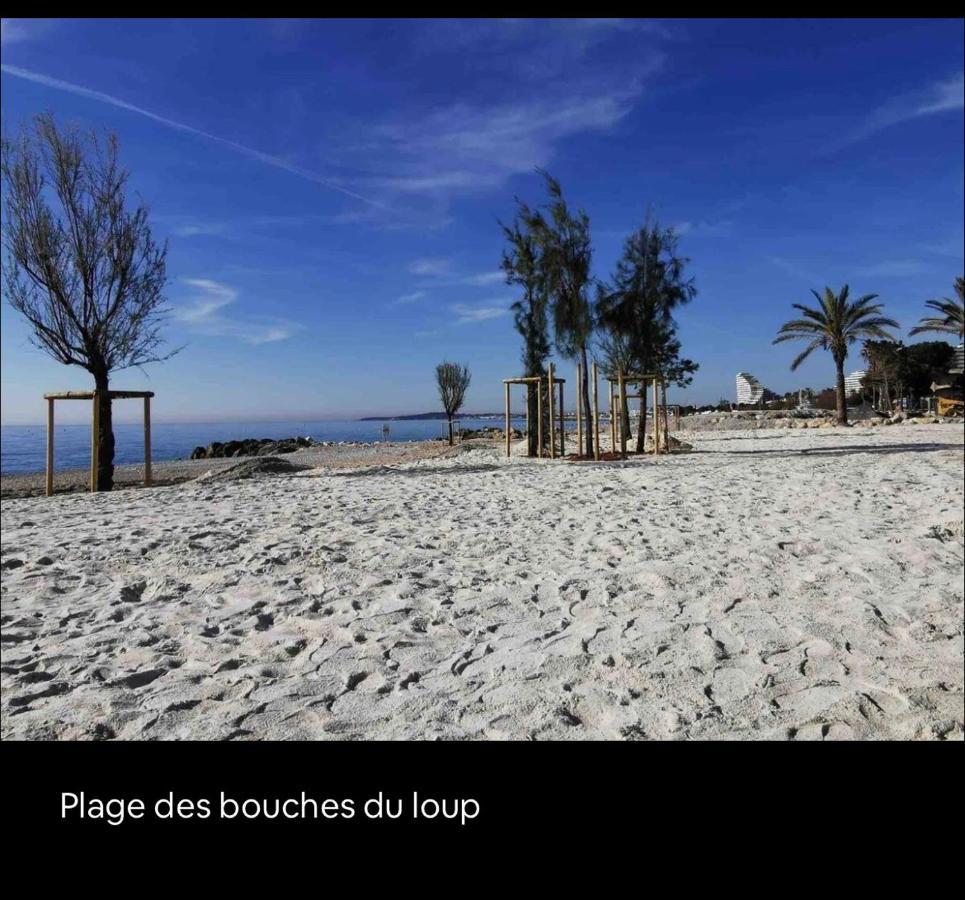 Loft Marina Direct Plage Διαμέρισμα Villeneuve-Loubet Εξωτερικό φωτογραφία